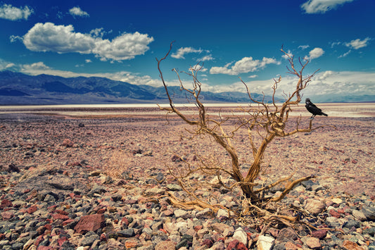 How Much Emergency Water Do You Really Need? A Family-by-Family Breakdown
